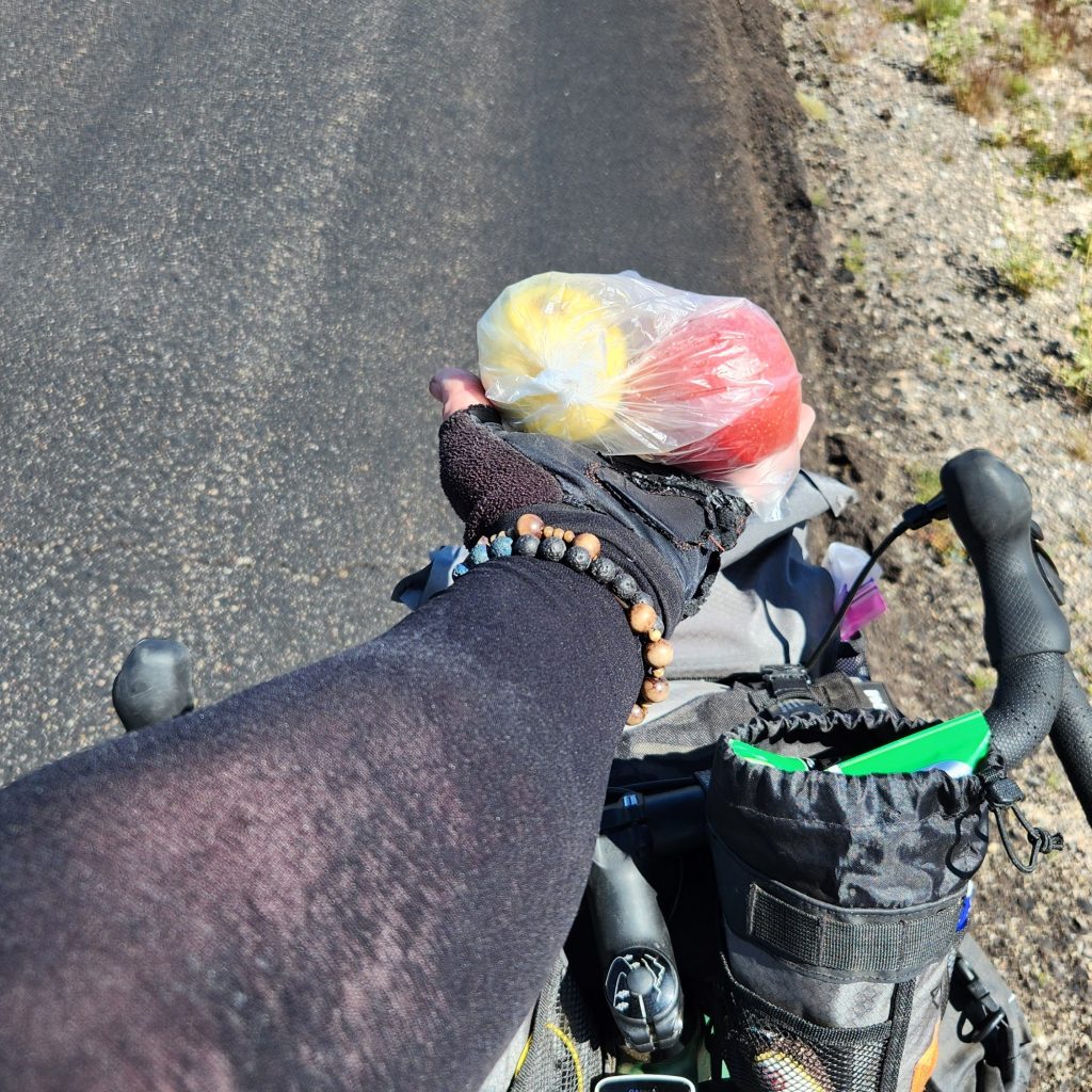 ARTICLE: THE KINDNESS OF&nbsp;BAJA